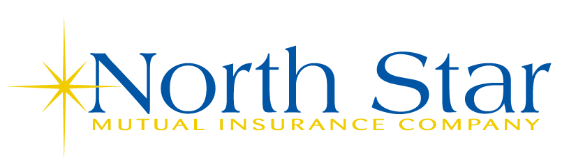 North Star Mutual Insurance Logo